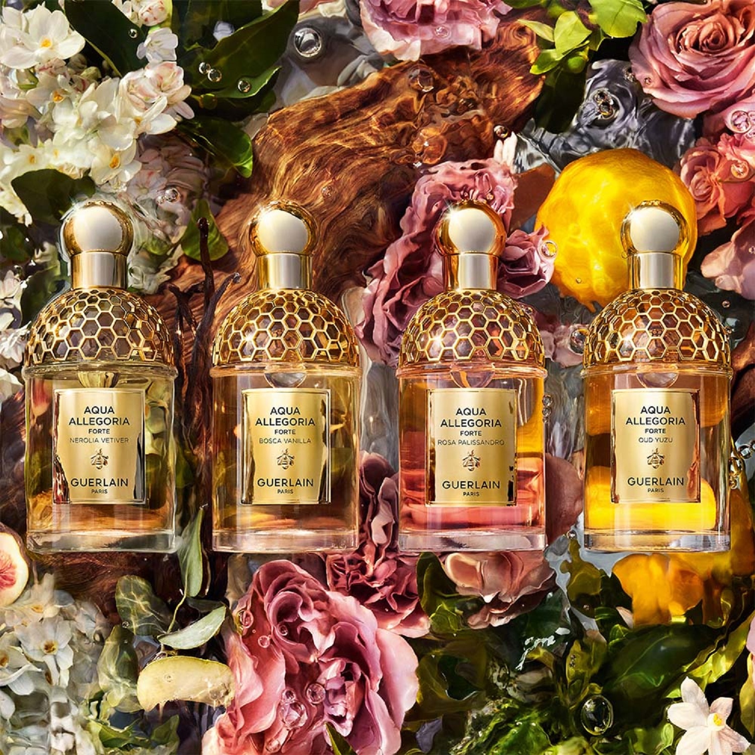 AQUA ALLEGORIA FORTE BOSCA VANILLA EAU DE PARFUM